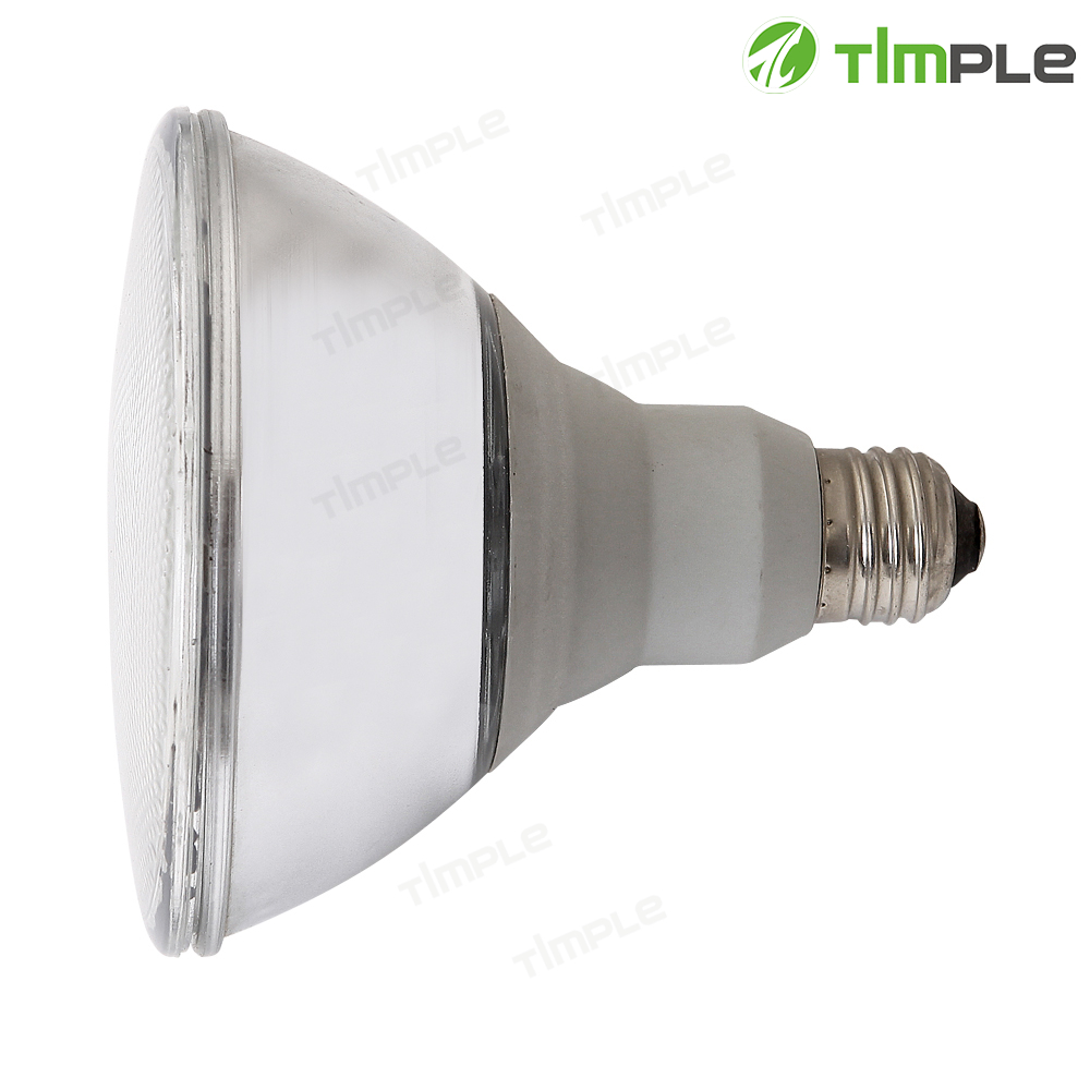 PAR Energy Saving Lamp 
